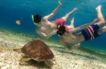 Palancar, Columbia and El Cielo Snorkeling tour by Catamaran