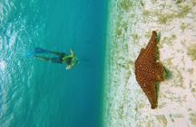 Palancar, Columbia and El Cielo Snorkeling tour by Catamaran
