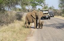 4 Days - Best of Johannesburg with Kruger 2 Days Safari