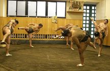 Sumo Morning Training Watch in Tokyo