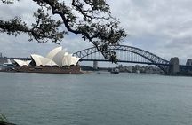 Sydney Half Day Luxury Private Tour 