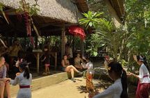 Bali Taman Anyar Village Tour