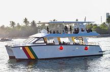 Mirissa Whale watching tour from Colombo/Negombo with Breakfast