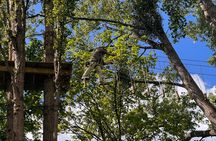 Treetop adventure course in the heart of Rouen