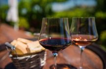 From Verona: Half-Day Valpolicella & Amarone Wine Experience