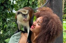 Half Day Private Tour in Grenada