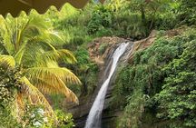 Half Day Private Tour in Grenada