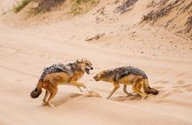 Sandwich Harbour 4x4 Guided Tour - Unforgettable Adventure
