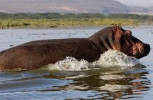 Day Tour to Lake Nakuru with optional boat ride in Lake Naivasha