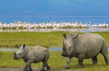 Day Tour to Lake Nakuru with optional boat ride in Lake Naivasha