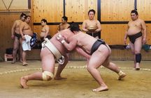 Sumo Morning Training Watch in Tokyo