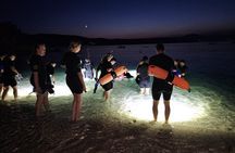 Nightsnorkeling
