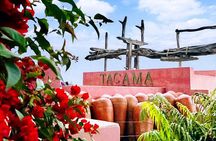 Tacama Wine Experience and Pisco Museum and Pisco Sour Class