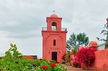 Tacama Wine Experience and Pisco Museum and Pisco Sour Class