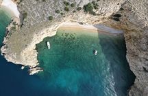 Swimming and Snorkeling on the Wild Bays 3.5 Hours (PUBLIC)