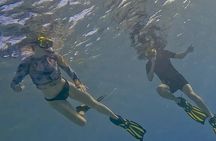 Snorkel with Turtles & see the Flamingos 