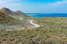 Cabo Pulmo Snorkel Adventure