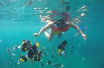 Cabo Pulmo Snorkel Adventure