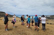 Visit Rapa Nui in 4 days with 3 Tours and Accommodation included