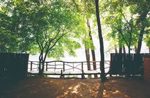 Nami Island, Garden of Morning Calm Tour with Rail Bike Option