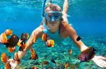 Nha Trang Bay: Explore Half-day Snorkeling at Mun Island 