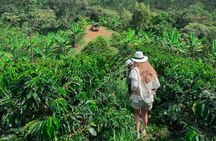 Private Tour to Jardín Town, Waterfalls, Coffee & Culture!