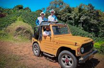 Private Tour to Jardín Town, Waterfalls, Coffee & Culture!