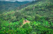 Private Tour to Jardín Town, Waterfalls, Coffee & Culture!