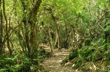 Discover Jeju in 3days: A Curated All-Inclusive Experience