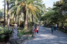 Discover Jeju in 3days: A Curated All-Inclusive Experience