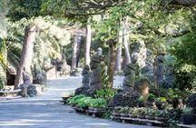Discover Jeju in 3days: A Curated All-Inclusive Experience