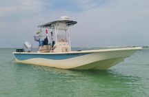 4 Hour Eco Dolphin Tour in Panama