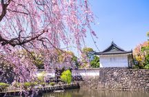 Tokyo Private Tour: Imperial Palace East Gardens, Edo Castle Site