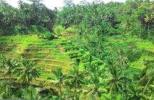 Bali Benoa Shore Excursion for cruise's passenger - All Inclusive