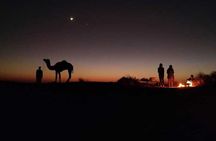 Overnight Camel Safari