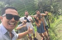 Best Of Ubud Highlights Private Tour