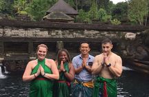 Best Of Ubud Highlights Private Tour