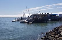 Muir Woods Sausalito Entry & Ferry to Fishermans Wharf included