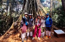 Bangkok: Khao Yai Nature Trails & Heaw Suwat Waterfall