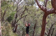  Private tour: Port Stephens, departing Newcastle - Whales!