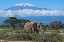 3 Days Group Joining Safari to Amboseli National Park
