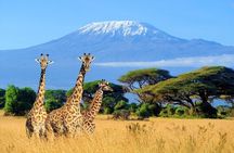 3 Days Group Joining Safari to Amboseli National Park
