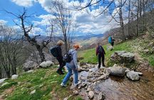 From Sarajevo: Full-Day Hike to Lukomir Village