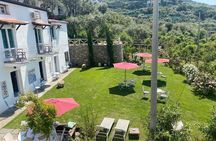 Italian Cooking Experience with Lunch or Dinner