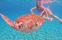 Monkey Bar and snorkling adventure at blue lagoon.