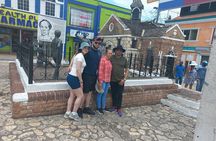 Private Sightseeing and Shopping Tour at Montego Bay