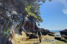 West Coast Big Tree Beach and Waterfall Adventure