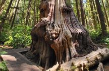 2 Day Private Adventure & Ocean Cabin on Vancouver Island