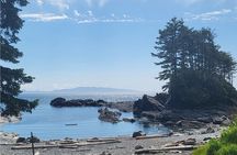 West Coast Big Tree Beach and Waterfall Adventure