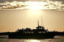 Myrtle Beach Sunset Dolphin Cruise Experience in Murrells Inlet